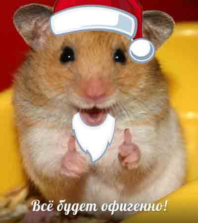 Яповцы, оновогоживайтесь!