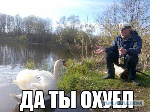 Я окуеваю