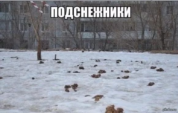 У меня вопрос к курящим людям.