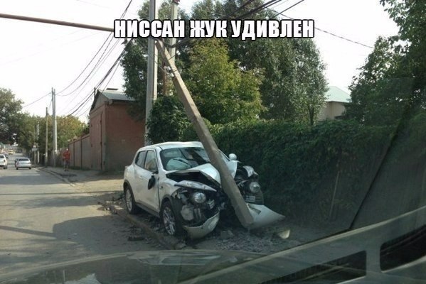 Подборка безудержного веселья
