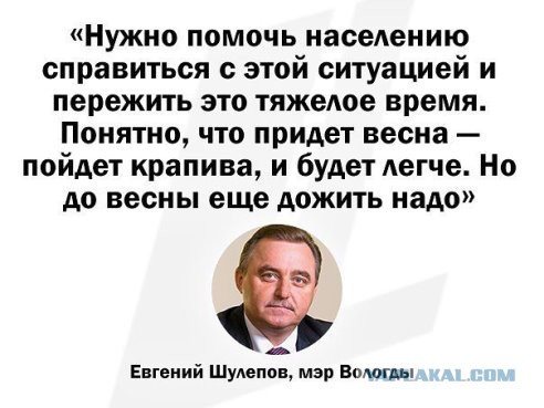 Обед из чертополоха