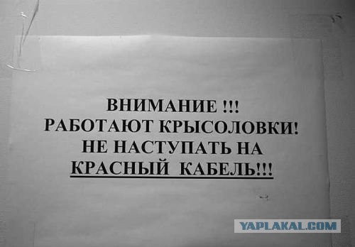 Смешные объявления, вывески и реклама