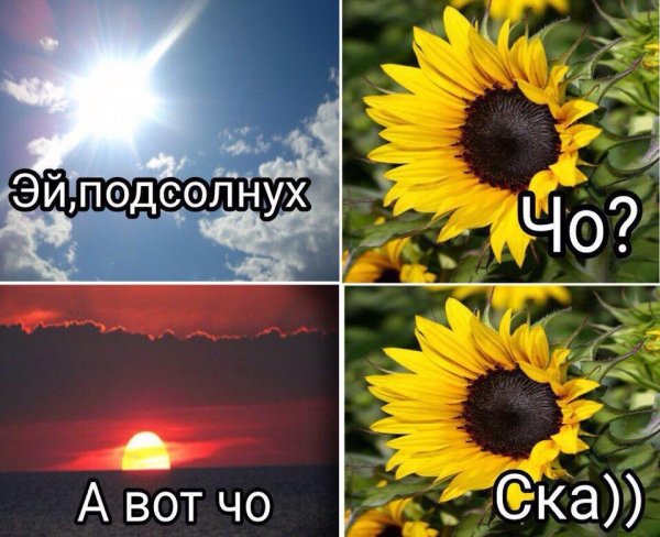 Приколы в стиле "регресс"