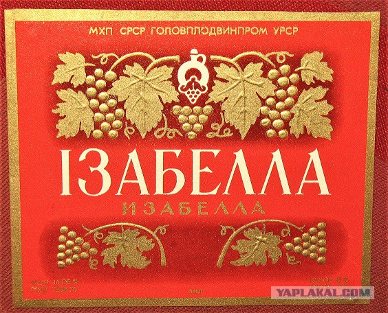 Этикетки для домашнего вина
