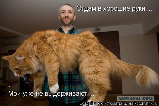 Монстр по кличке Иуда