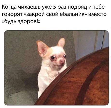 Немного картинок для настроения