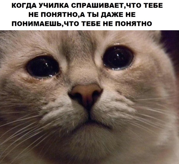 Подборка так себе картинок