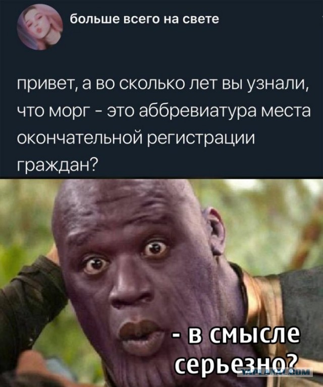 Мемы и картинки