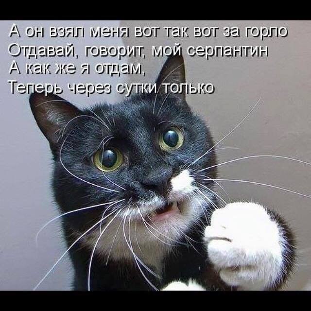 Перечитывал пейджер. Много думал