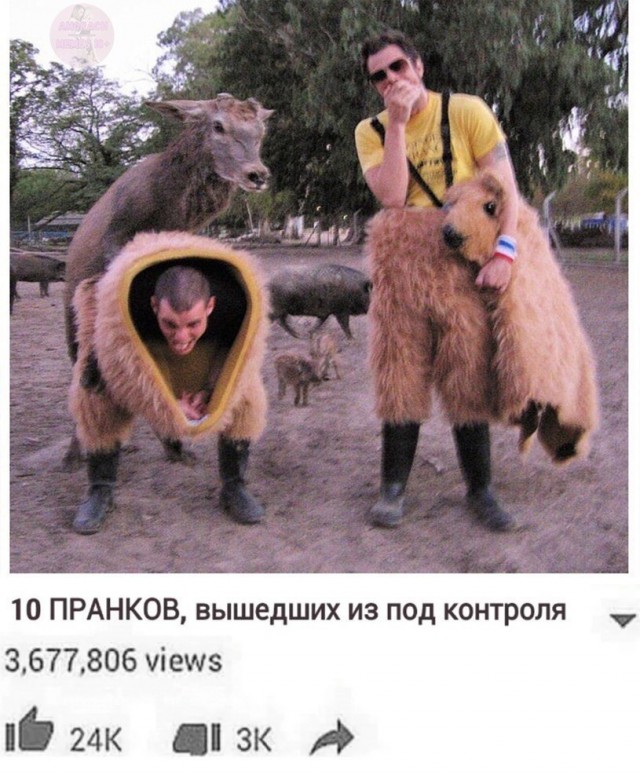 Картинки и мемы для настроения 003