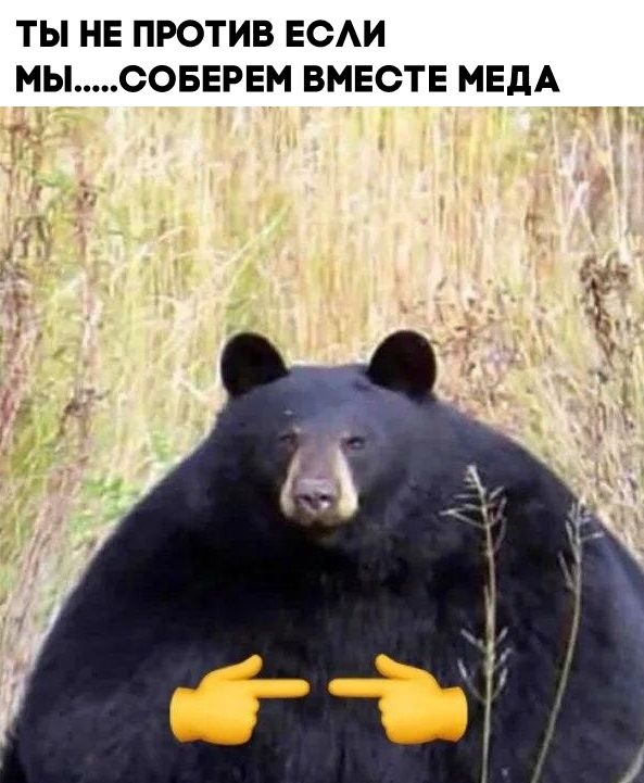 Так себе картинки 14.03.21