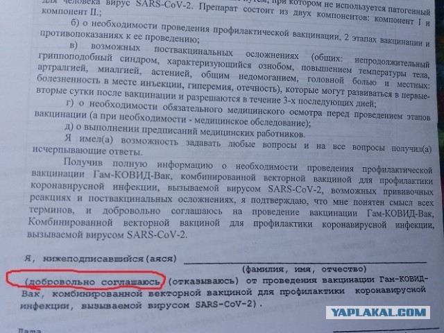 К пику третьей волны коронавируса регионы готовят новые запреты