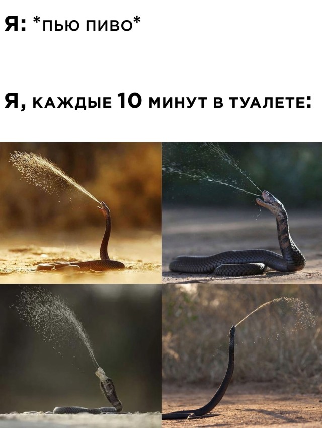 Так себе картинки 25.08.21