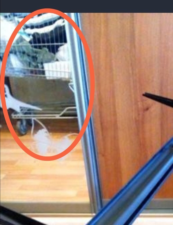Спасение стола с помойки