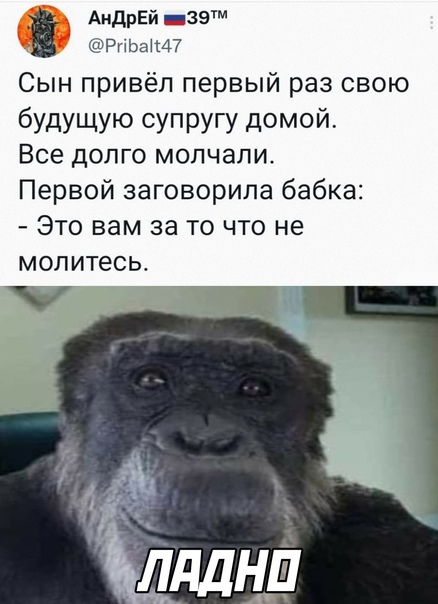 Картинки и мемы для настроения  - 31