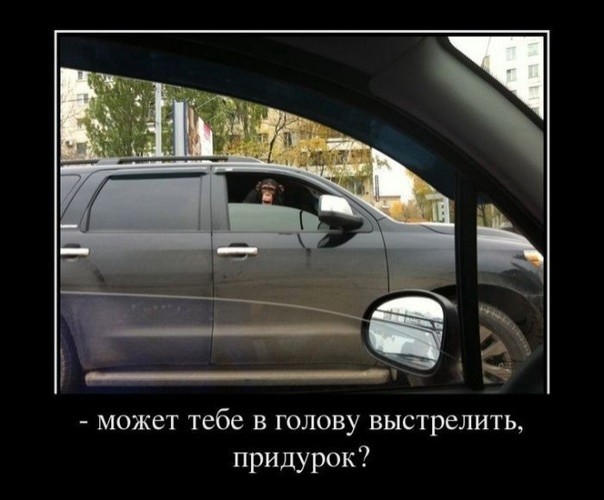 Московский беспредел. Разборки понаехавших.