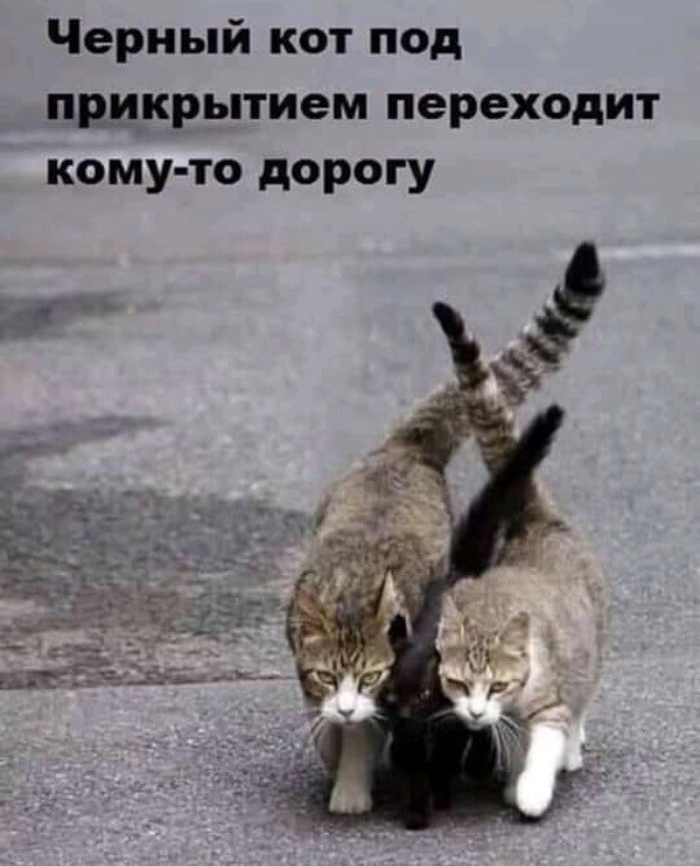 Немного картинок для настроения - 155