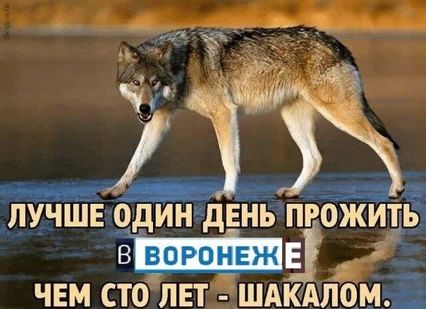 Всего понемногу. От 25.03.