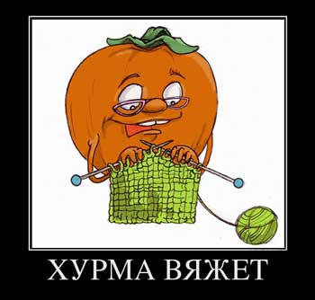 Хурма созрела!