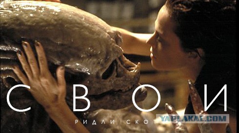 Фильмы из паралельной вселенной