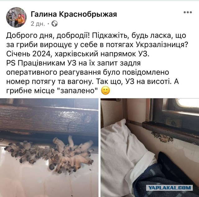 Барахолка в Киеве