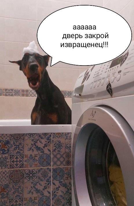 Стучаться надо!