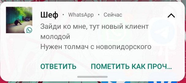 Отличия крутого московского лицея от обычной московской массовой школы