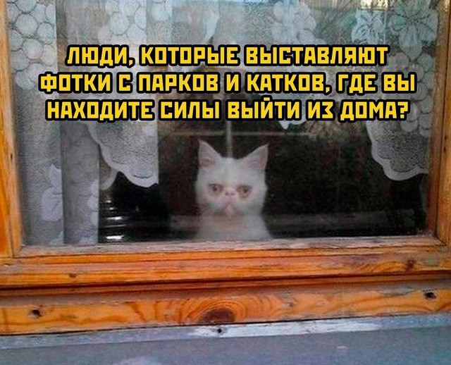 Всего понемногу. От 10.01.2025