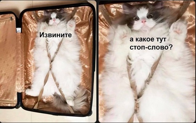 Завалялось тут случайно немного забавных картинок