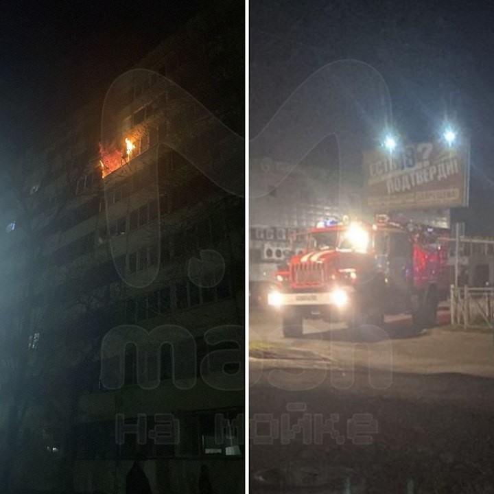 Трагедия в квартире на Ленинградской улице во Всеволожске, Ленобласть