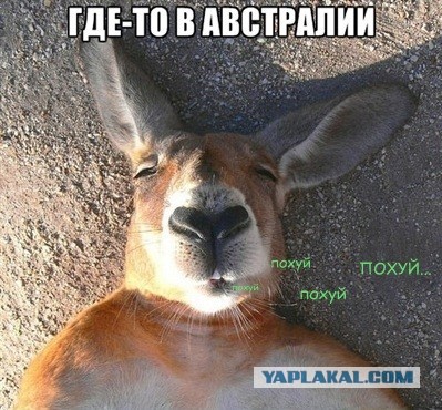 Тихий океан - большая свалка