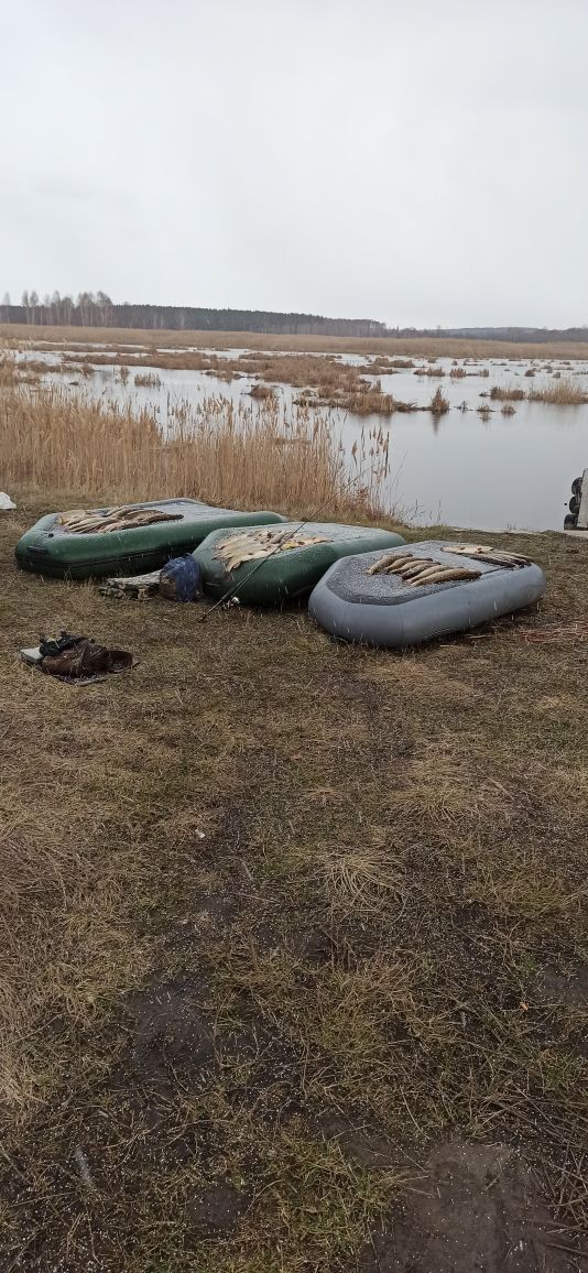 Рыбалка 2024