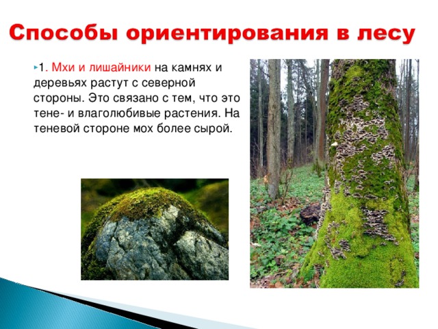А что вы чуствовали мужики?