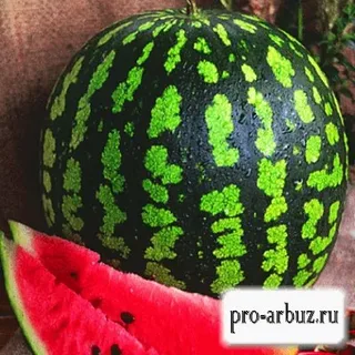 Пробую все необычные арбузы из «Пятёрочки»