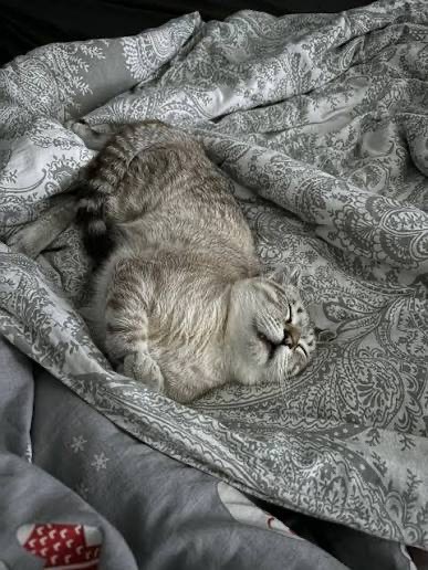 Главное начать