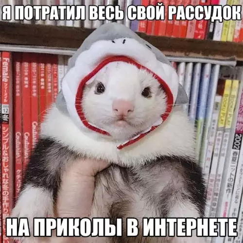 Картиночки, баянчики 23 февраля