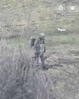 Пришла повесточка явиться в военкомат