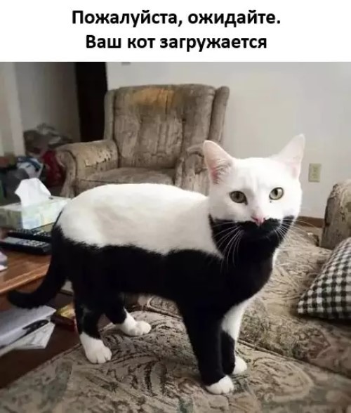 Картиночки, баянчики в начале мая
