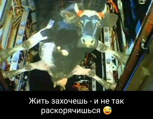 Бензовозы не смогли приехать в Севастополь: QR-коды на топливо выдавать не будут