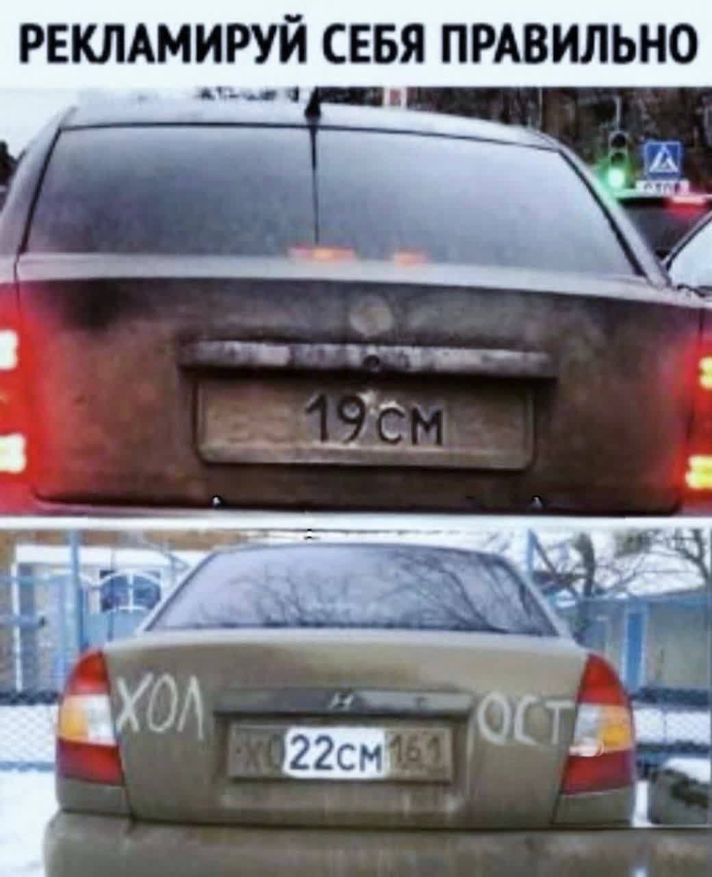 21163606.jpg