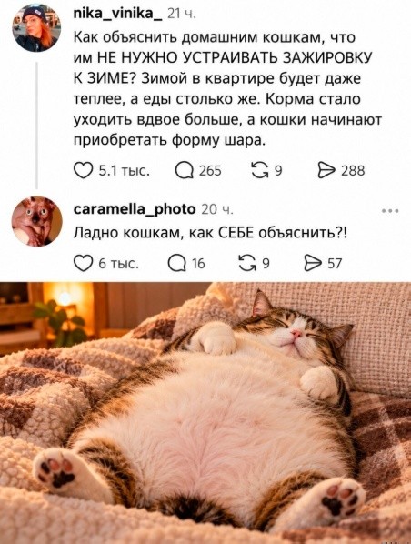 Картинки для деградации 300