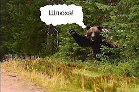 Девственность за 800 тыс