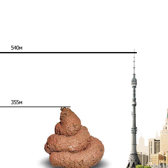 Самая Большая Какашка