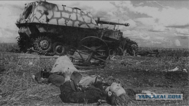 Wargaming 16