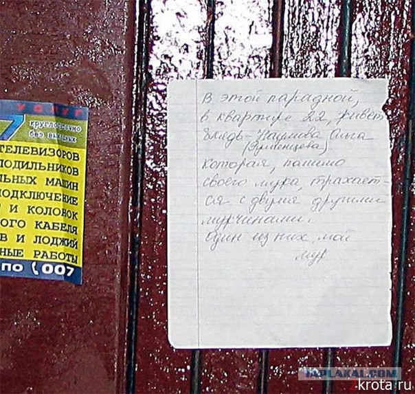 Смешные комментарии из социальных сетей 15.11.14
