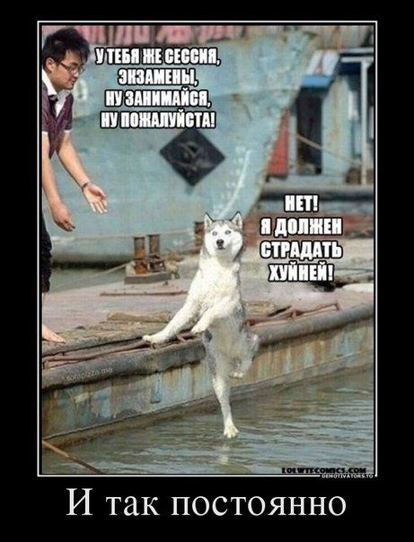 Забавные картинки из Сети