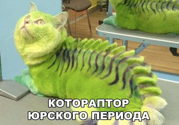 Картинки и демотиваторы