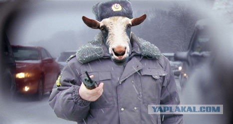 Как телефон возвращал
