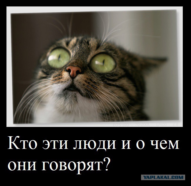 Чудо трава картинки. Отпусти меня чудо трава картинки. Отпусти меня чудо трава картинки. Отпусти меня трава. Трава для чуду.