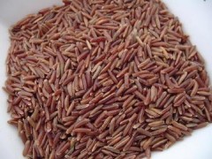 Узбекская кухня. Плов и некоторые особенности